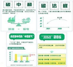 什么是碳达峰、碳中和？碳达峰与碳中和发展路径下的电力系统规划、运行与控制